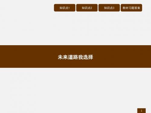 2018届九年级政治(人教版)同步配套(课件)：10.3未来道路我选择
