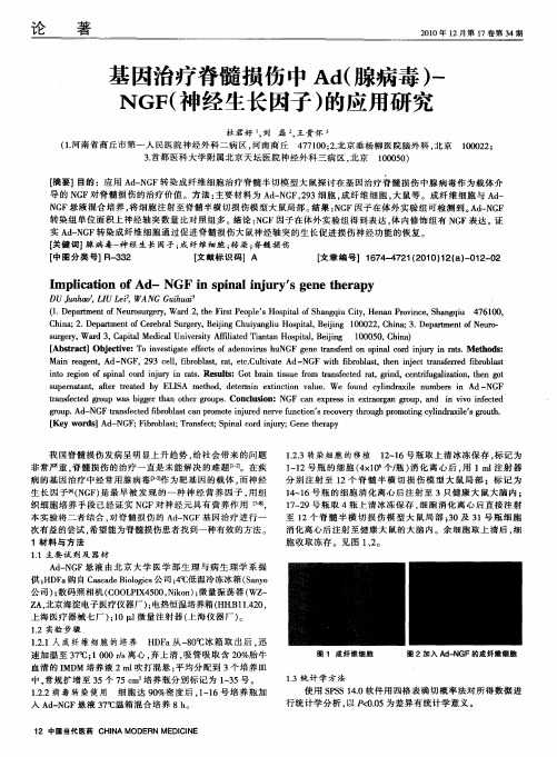 基因治疗脊髓损伤中Ad(腺病毒)-NGF(神经生长因子)的应用研究