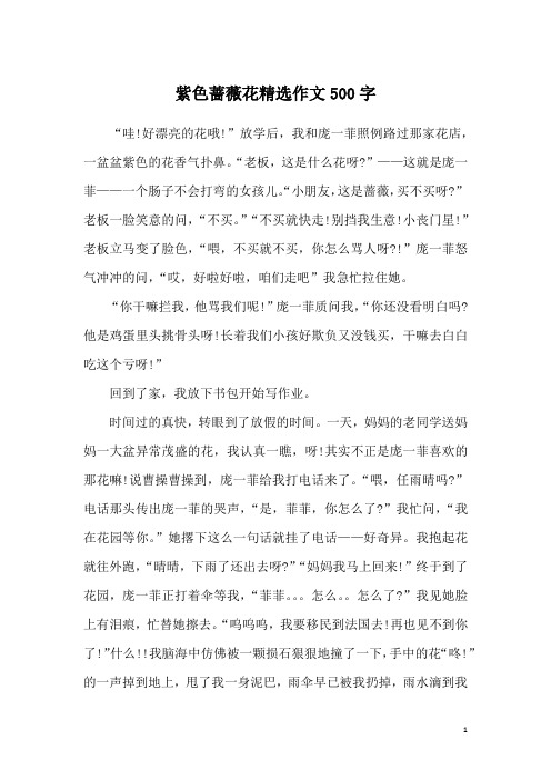 紫色蔷薇花精选作文500字