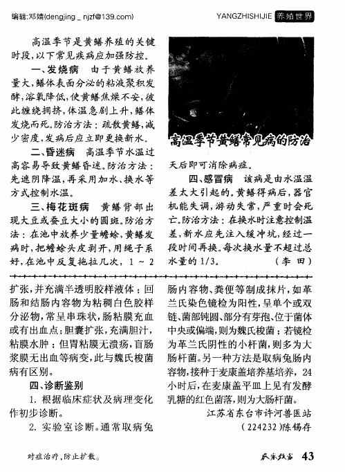 高温季节黄鳝常见病的防治