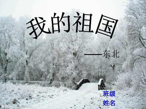 东北地区