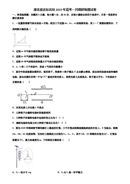 湖北省达标名校2019年高考一月调研物理试卷含解析