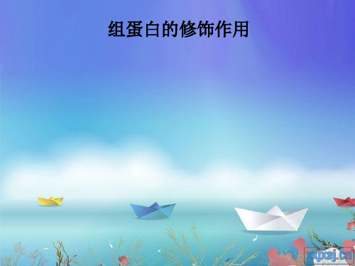组蛋白的修饰作用ppt课件