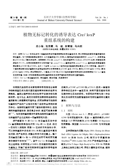 植物无标记转化的诱导表达Cre_loxP重组系统的构建A