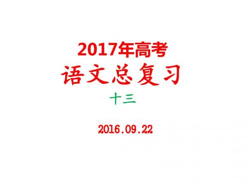 2017年高考语文总复习十三