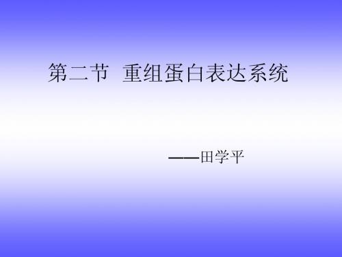 重组蛋白表达系统  基因工程制药课件