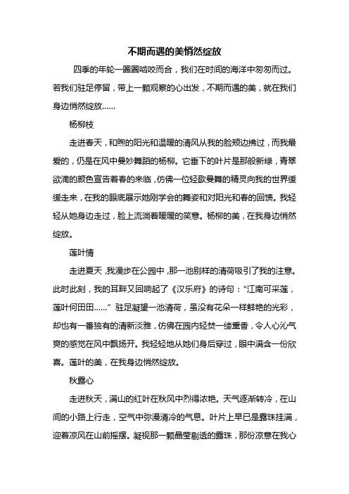初三作文：不期而遇的美悄然绽放作文800字