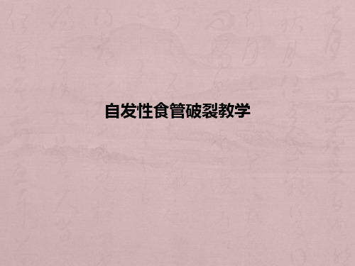 自发性食管破裂ppt课件