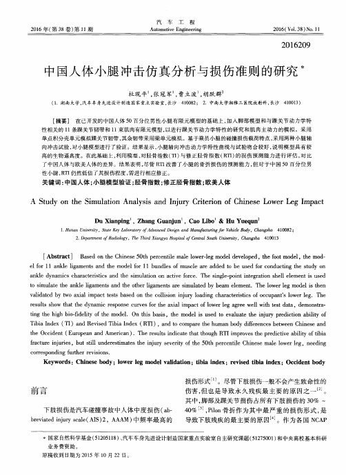 中国人体小腿冲击仿真分析与损伤准则的研究