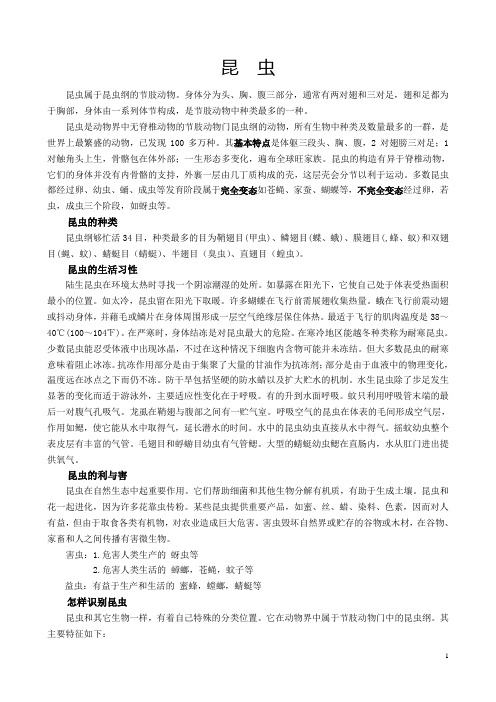 昆虫相关知识以及图片