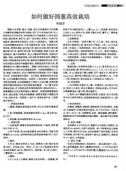 如何做好圆葱高效栽培