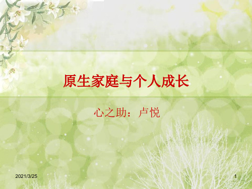 原生家庭与个人成长PPT课件