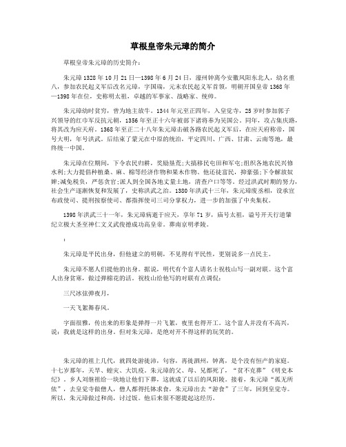 草根皇帝朱元璋的简介