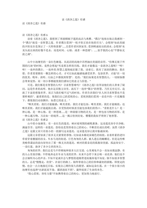 读《清净之莲》有感