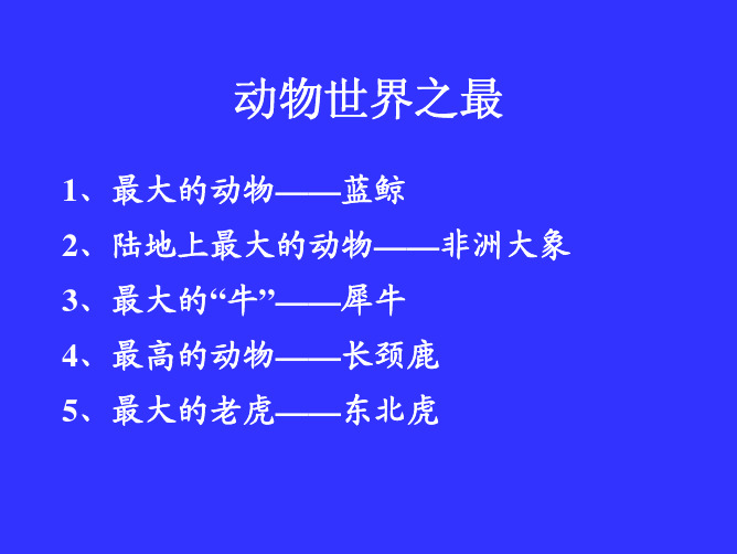 动物世界之最