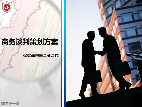 商务谈判策划方案精美ppt模板