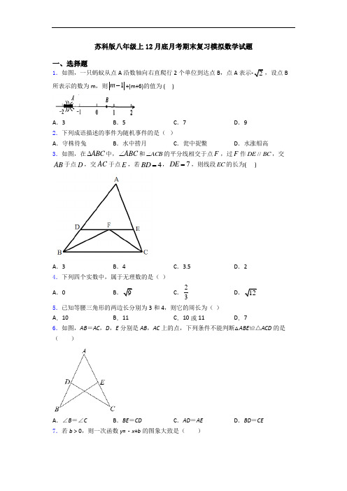 苏科版八年级上12月底月考期末复习模拟数学试题