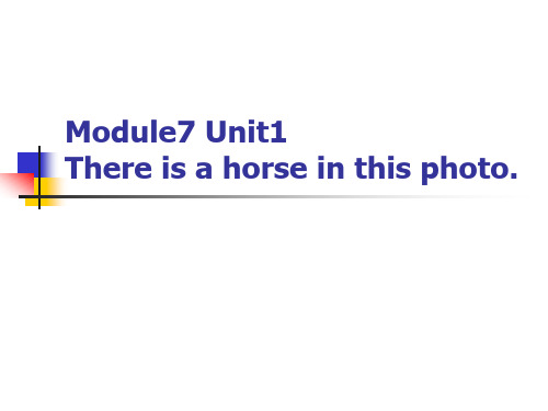 There is a horse in this photo说课课件