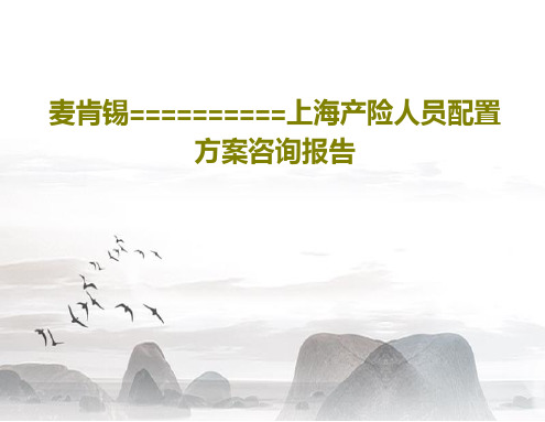 麦肯锡==========上海产险人员配置方案咨询报告共44页文档