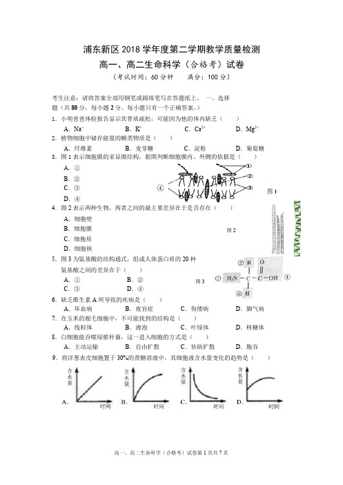 浦东新区2018学年度第二学期教学质量检测高一、高二生命科学(合格考)试卷(Word无答案)
