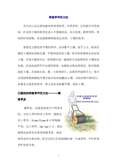 草坪种植方法