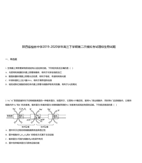 陕西省榆林中学2019-2020学年高三下学期第二次模拟考试理综生物试题