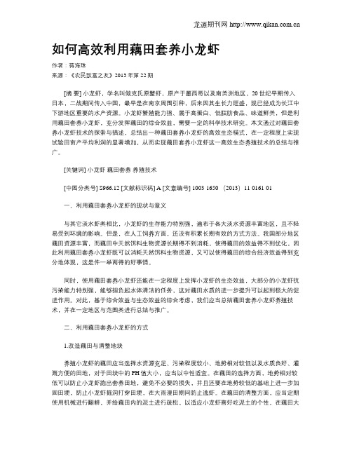 如何高效利用藕田套养小龙虾