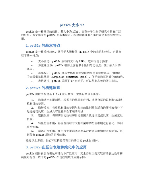 pet32a大小17