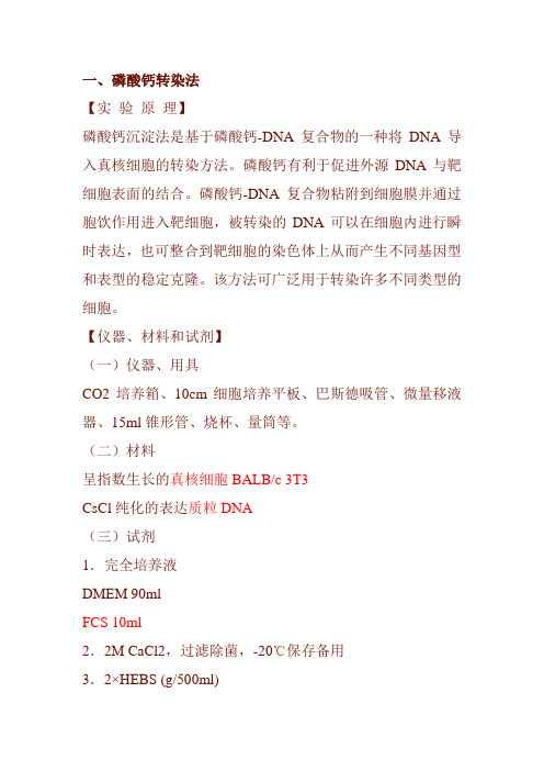 RNA干扰步骤