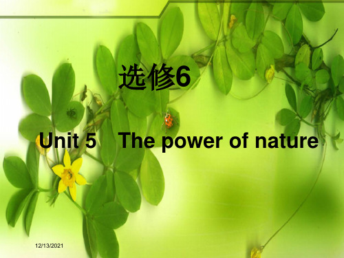 高考英语一轮复习 unit 5 the power of nature课件 