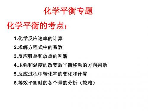 高三化学下学期化学平衡专题-旧人教版(2019)