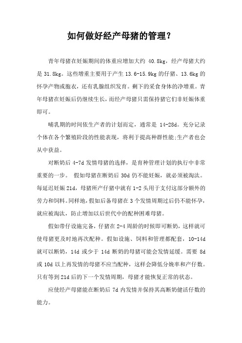 如何做好经产母猪管理？