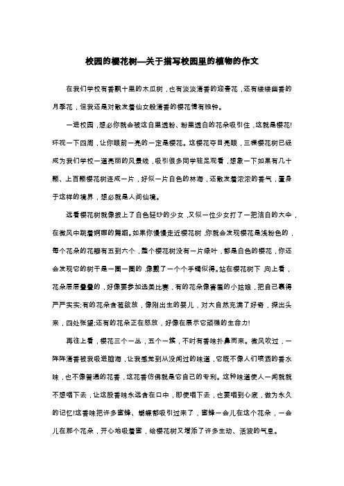 校园的樱花树—关于描写校园里的植物的作文_五年级状物作文