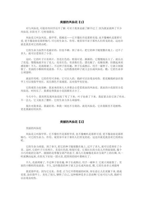 美丽的凤仙花作文
