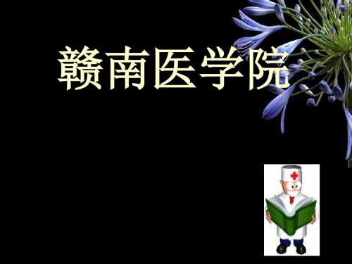 寄生虫检验鞭虫钩虫PPT课件