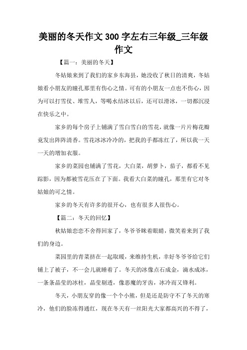 美丽的冬天作文300字左右三年级_三年级作文