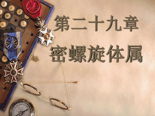 密螺旋体属