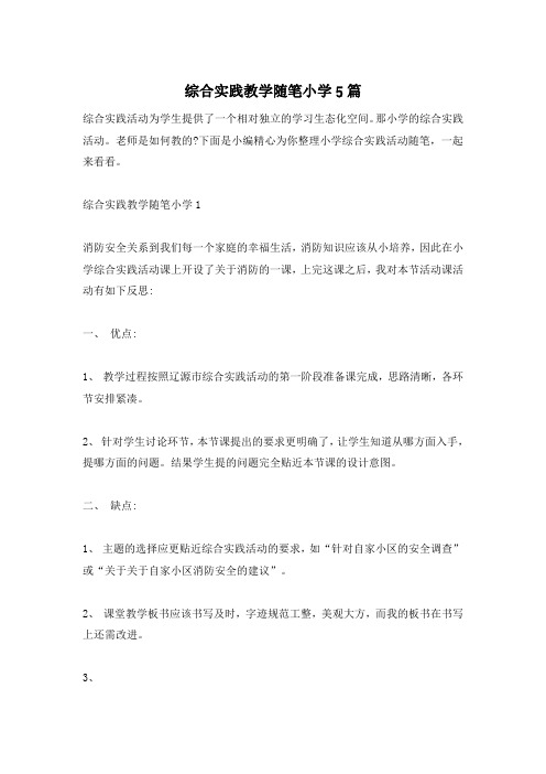 综合实践教学随笔小学5篇