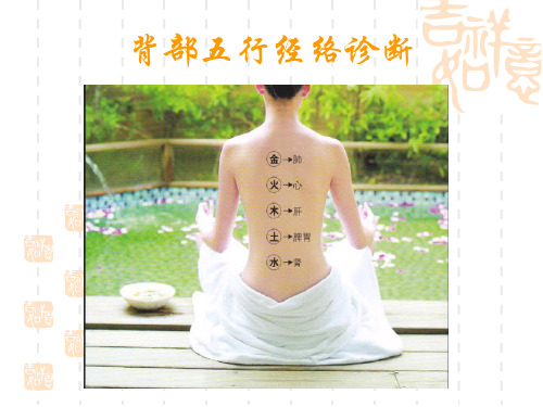 背部五行经络诊断