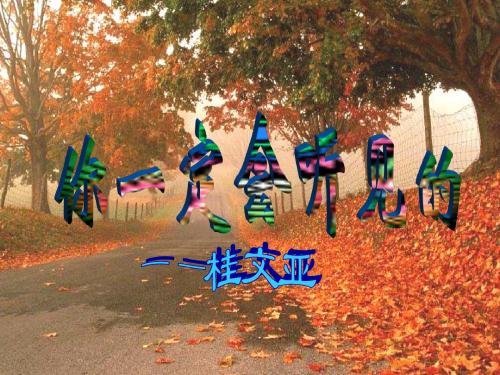 北师大版语文第五册《你一定会听见的》PPT课件1PPT、优质教学课件