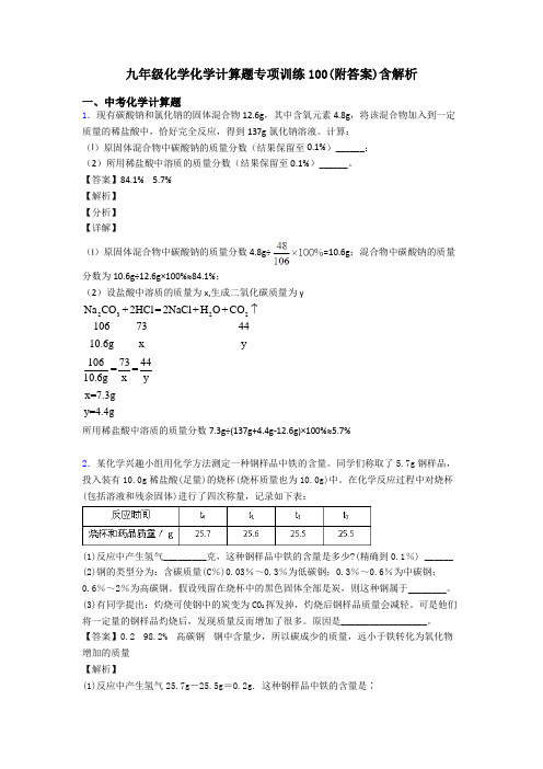 九年级化学化学计算题专项训练100(附答案)含解析