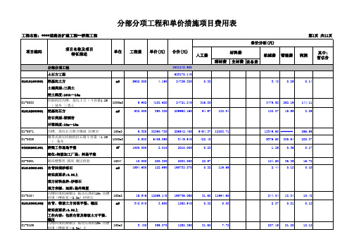 分部分项工程和单价措施项目费用表 市政桥梁 