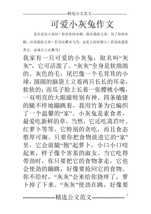 可爱小灰兔作文