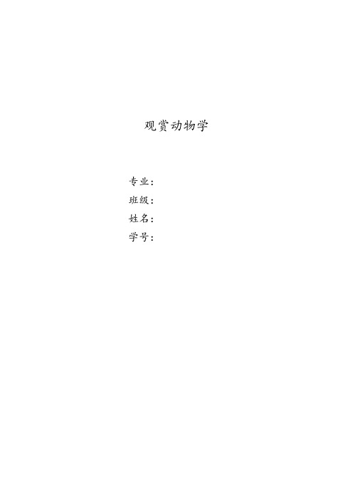 青农-观赏犬与人类结课论文