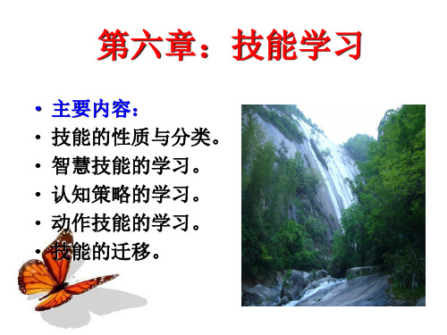 第六章：技能学习