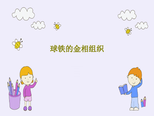 球铁的金相组织31页PPT