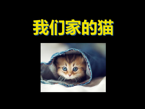 《我们家的猫》PPT课件五