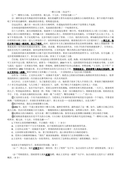 一棵小白杨(中考五三版)