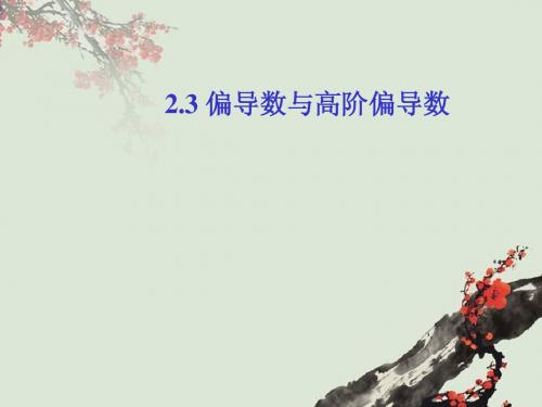 2.3偏导数