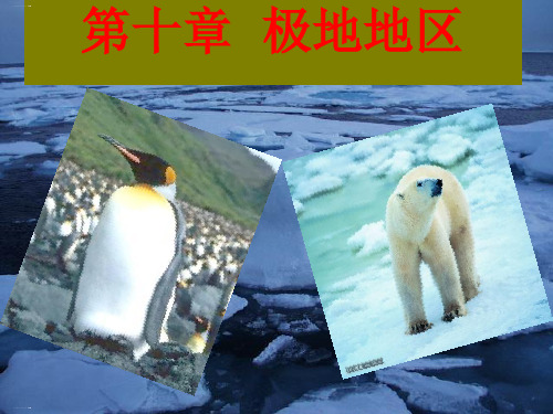 地理人教版《极地地区》上课课件1